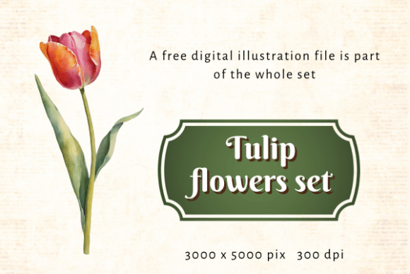 Bridging the Digital Gap: How Tulip Transforms Frontline Manufacturing Operations