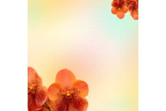Evaluating Background Design 421: A Practical Guide for Selection