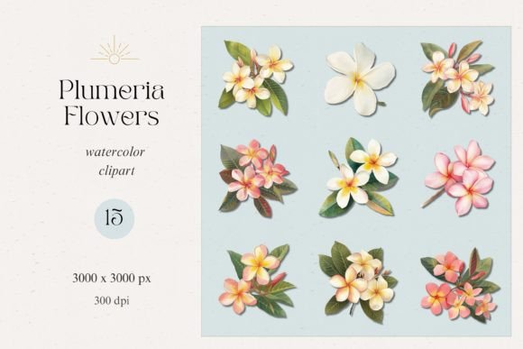 Plumeria Flowers Watercolor Clipart Set Guide
